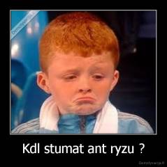 Kdl stumat ant ryzu ? - 
