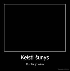 Keisti šunys - Kur tik jū nėra