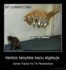 Keistos taisykles kaciu elgesyje  - Zemes Trauka Yra Tik Pavadinimas