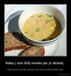 Kelias į vyro širdį neveda per jo skrandį.  - Kitaip kiekvienas vyras taip ir gyventų su savo motina misdamas pieniška sriuba.