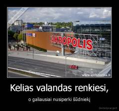 Kelias valandas renkiesi, - o galiausiai nusiperki šūdniekį