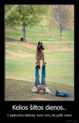 Kelios šiltos dienos.. - ir paskutinis dalykas, kurio nori, tai grįžti namo