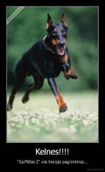 Kelnes!!!! - "Garfildas 2" visi herojai pagrindiniai...