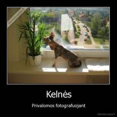 Kelnės - Privalomos fotografuojant