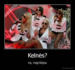 Kelnės? - ne, negirdėjau
