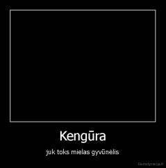 Kengūra - juk toks mielas gyvūnėlis