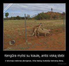 Kengūra mylisi su kiaule, antis viską stebi - ir tolumoje matomas aborigenas. Arba tiesiog Australija kiekvieną dieną.