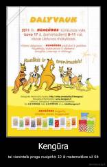 Kengūra - tai vienintelė proga nusipirkti 10 iš matematikos už 6lt