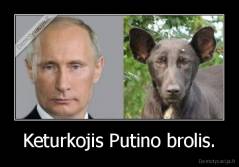 Keturkojis Putino brolis. - 