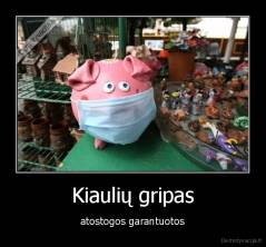 Kiaulių gripas - atostogos garantuotos