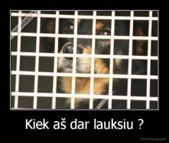 Kiek aš dar lauksiu ? - 