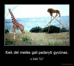 Kiek dėl meilės gali padaryti gyvūnas. - o kiek Tu?