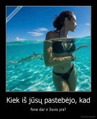 Kiek iš jūsų pastebėjo, kad - fone dar ir žuvis yra?