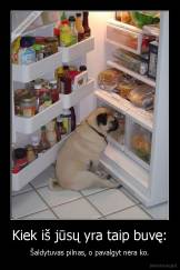 Kiek iš jūsų yra taip buvę: - Šaldytuvas pilnas, o pavalgyt nėra ko.