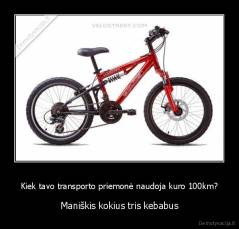 Kiek tavo transporto priemonė naudoja kuro 100km? - Maniškis kokius tris kebabus