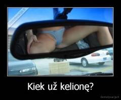 Kiek už kelionę? - 