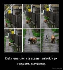 Kiekvieną dieną ji ateina, sulaukia jo  - ir eina kartu pasivaikščioti.