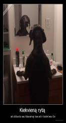 Kiekvieną rytą  - aš užduodu sau klausimą: kas aš ir kodėl esu čia