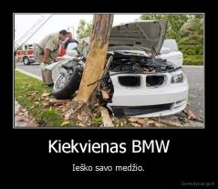 Kiekvienas BMW - Ieško savo medžio.