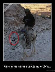 Kiekvienas asilas svajoja apie BMW... - 