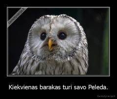 Kiekvienas barakas turi savo Peleda. - 