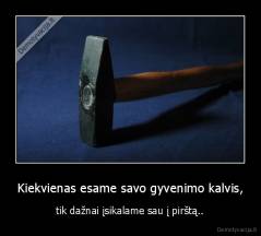 Kiekvienas esame savo gyvenimo kalvis, - tik dažnai įsikalame sau į pirštą..