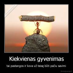 Kiekvienas gyvenimas - tai pastangos ir kova už teisę būti pačiu savimi