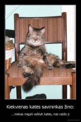 Kiekvienas katės savininkas žino: - ...niekas negali valdyti katės, nes valdo ji