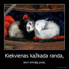 Kiekvienas kažkada randa, - savo antrąją pusę.