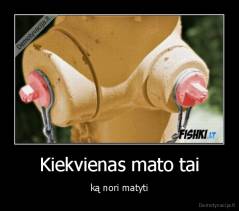 Kiekvienas mato tai - ką nori matyti