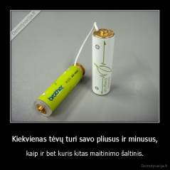 Kiekvienas tėvų turi savo pliusus ir minusus, - kaip ir bet kuris kitas maitinimo šaltinis.