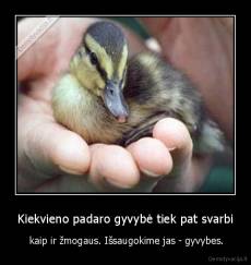 Kiekvieno padaro gyvybė tiek pat svarbi -  kaip ir žmogaus. Išsaugokime jas - gyvybes.