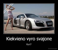 Kiekvieno vyro svajone - Kuri?