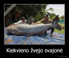 Kiekvieno žvejo svajonė - 