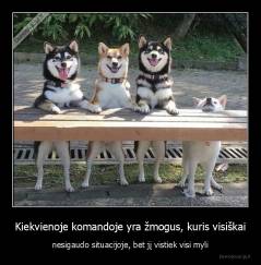 Kiekvienoje komandoje yra žmogus, kuris visiškai - nesigaudo situacijoje, bet jį vistiek visi myli