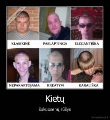 Kietų - šukuosenų rūšys