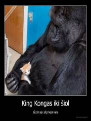 King Kongas iki šiol - rūpinasi silpnesniais