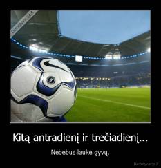 Kitą antradienį ir trečiadienį... - Nebebus lauke gyvų.