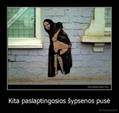 Kita paslaptingosios šypsenos pusė - 