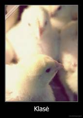 Klasė - 