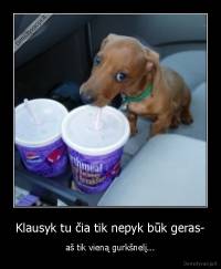 Klausyk tu čia tik nepyk būk geras- - aš tik vieną gurkšnelį...