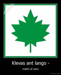 Klevas ant lango - - medis už vairo