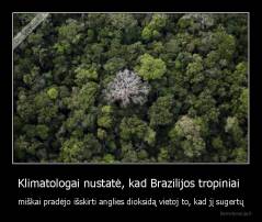 Klimatologai nustatė, kad Brazilijos tropiniai  - miškai pradėjo išskirti anglies dioksidą vietoj to, kad jį sugertų