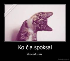 Ko čia spoksai - akis išdursiu 