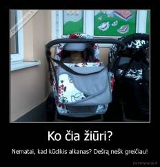 Ko čia žiūri? - Nematai, kad kūdikis alkanas? Dešrą nešk greičiau!