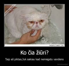 Ko čia žiūri? - Taip aš piktas.Juk sakiau kad nemėgstu vandens