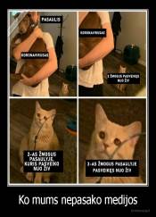 Ko mums nepasako medijos - 