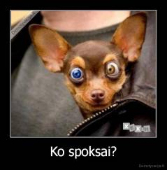 Ko spoksai? - 