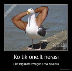 Ko tik one.lt nerasi - I ka isigimsta zmogus arba zuvedra