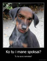 Ko tu i mane spoksai? - Tu ka suns nemates?